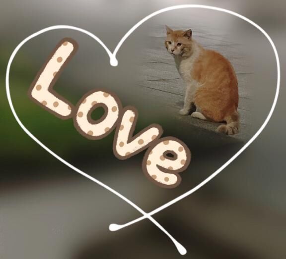 &hearts;︎事前予約&hearts;︎