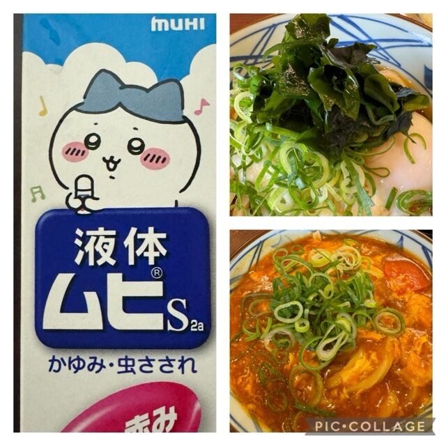 「うどん　ウドン　饂飩…」