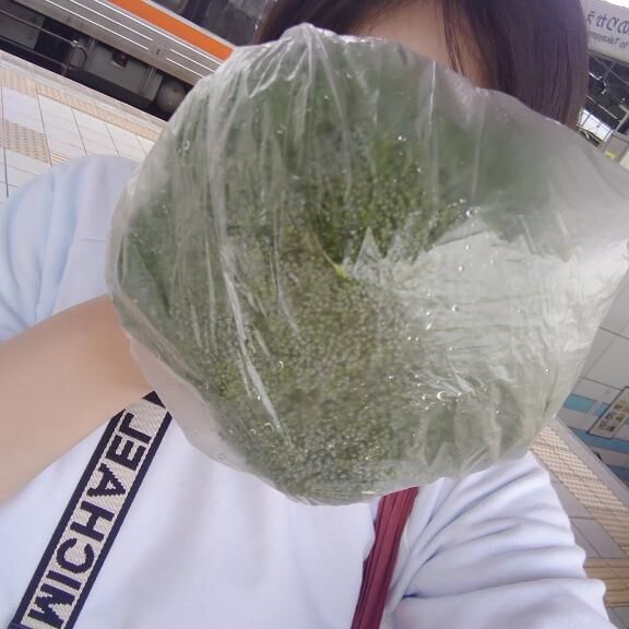 こーんな立派な