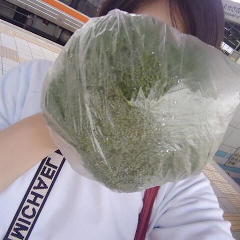 こーんな立派な