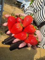 今日から私(俺)は
