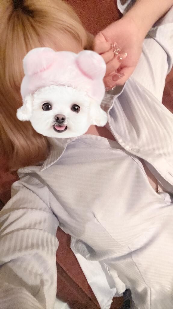 らすとまで！
