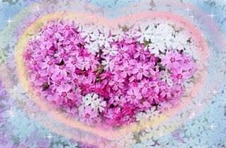 お礼です&#10084;&#65038;