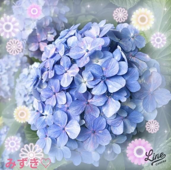 おはようございます♡