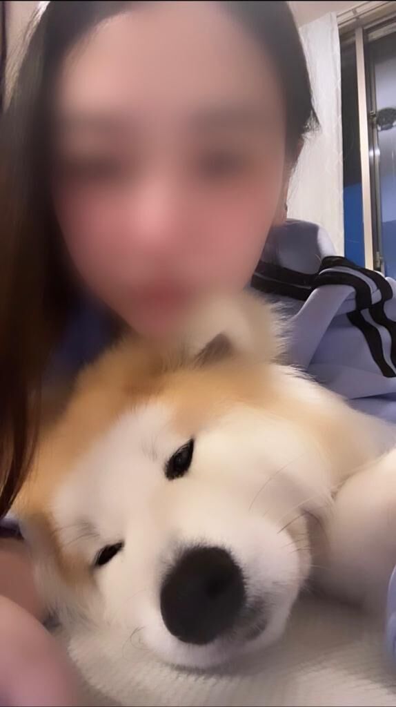 こんにちは✨