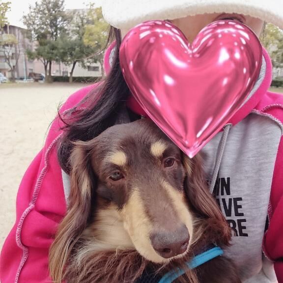 今日は。。