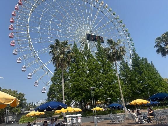 今日は