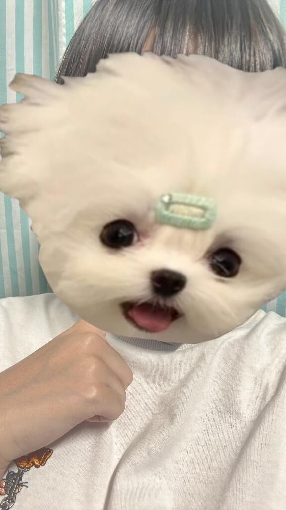 います！