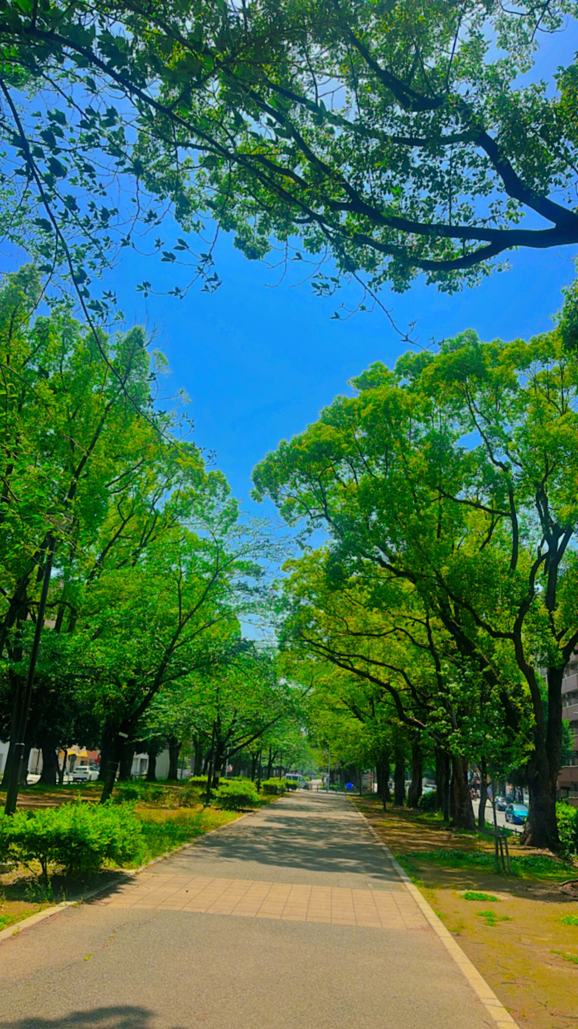 天気良くて風が気持ちいい