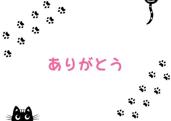 今日のお礼と明日♪