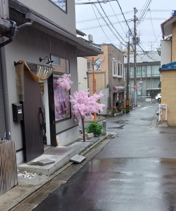 先ほどの