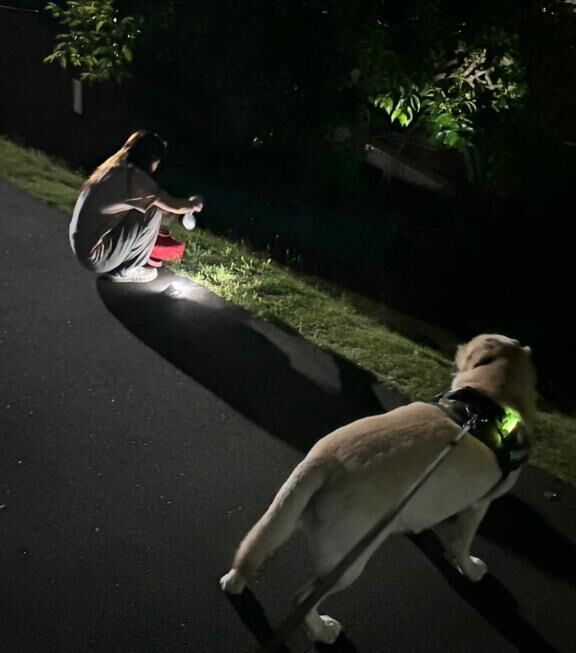こんばんは