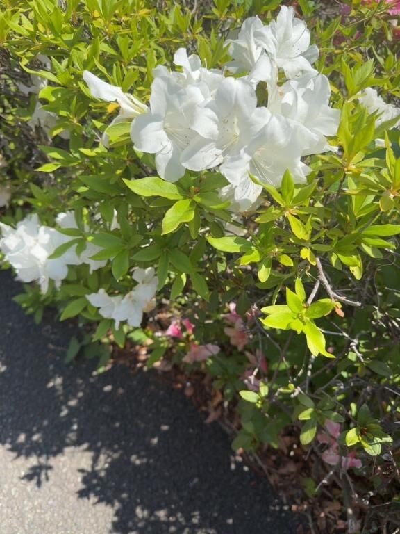 おはようございます♡