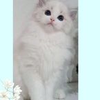 ずうっと\(^o^)/開運日