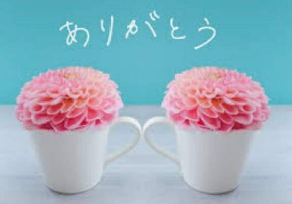 N様へ