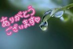 ♡♡お返事♡♡