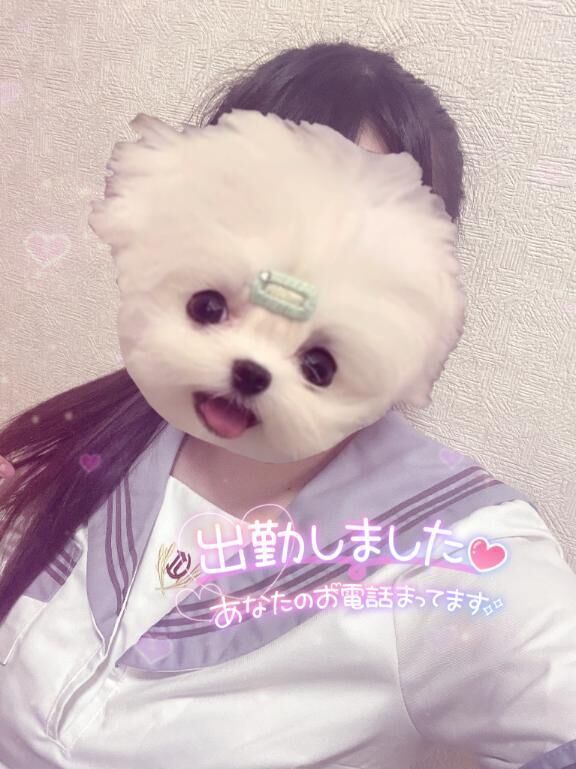 まっておるのです兩