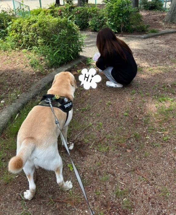 おかげで