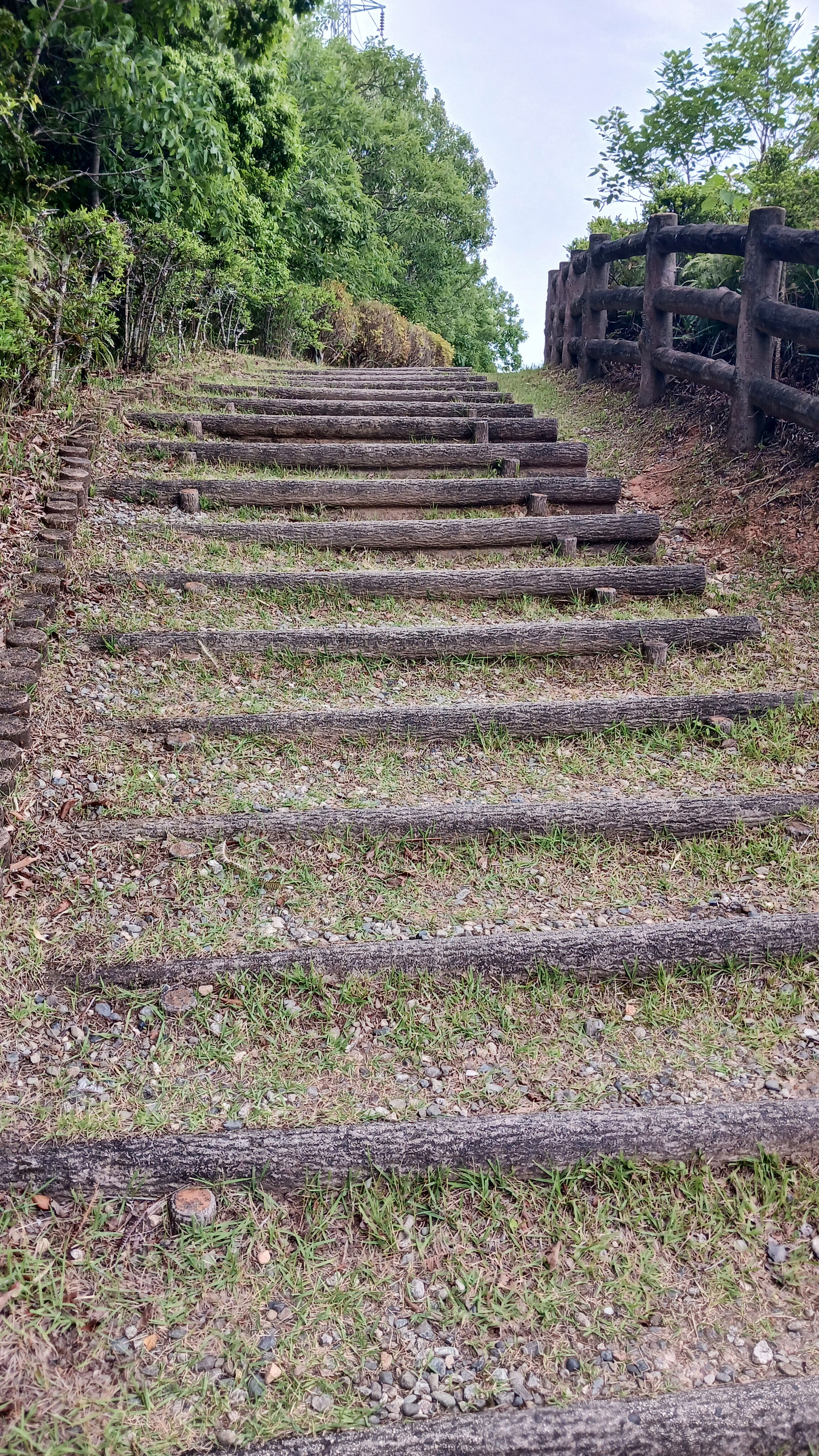 おやすみなさい(´ε｀ )