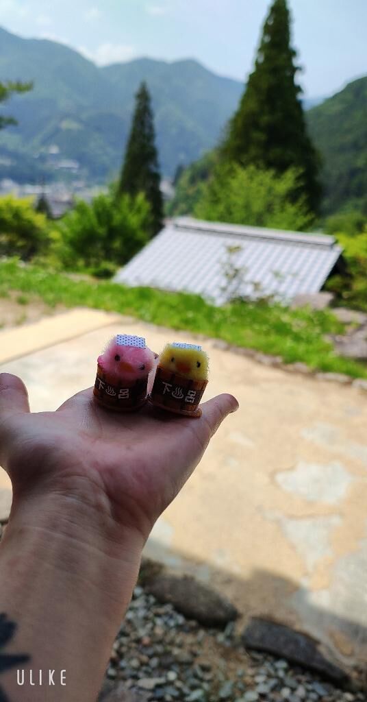 明日？今日はいくよー&#129392;