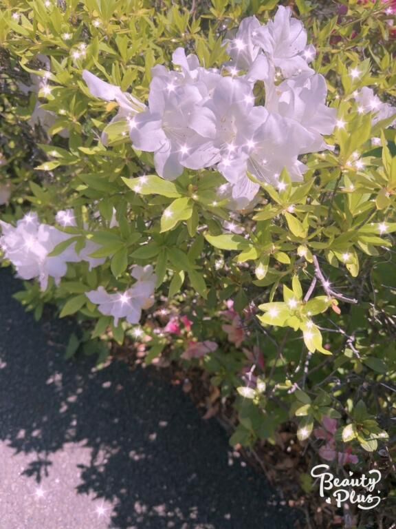 おはようございます♡