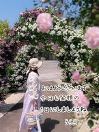 おはようございます