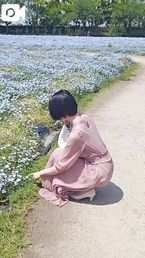 アトラクション