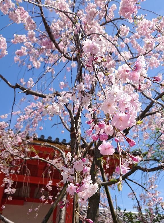 夕方からに&#128583;&zwj;♀&#65039;
