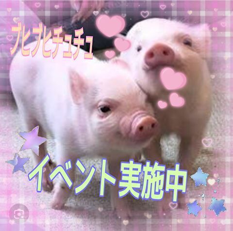 今から