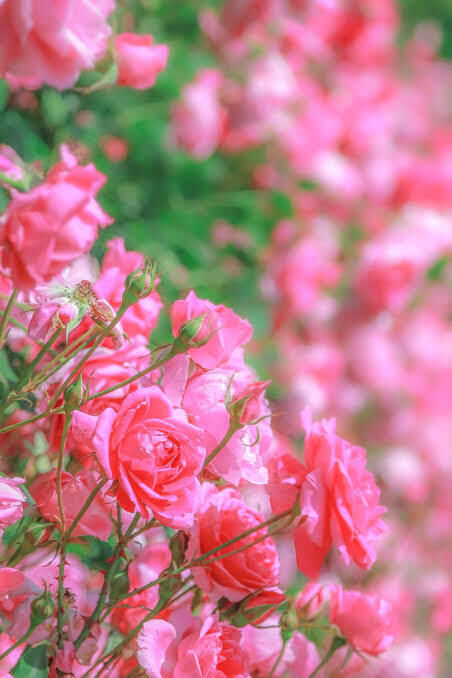 こんばんは&#9825;