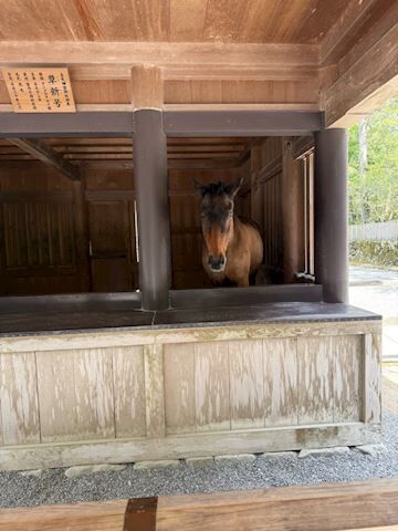 お誘いお待ち勺