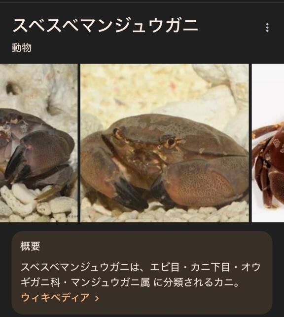 苦手な人ごめんなさい