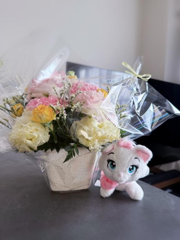 &#128049;&#128144;