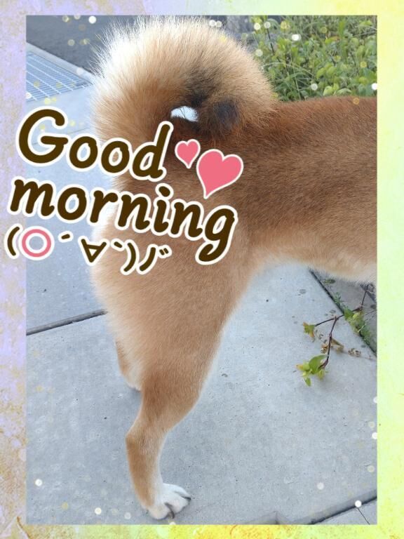 気持ちいい