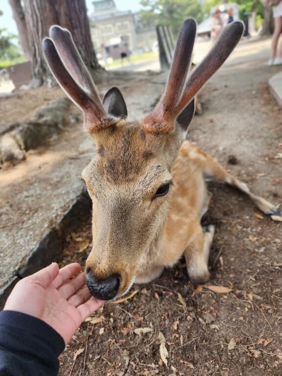 とうちゃく&#129420;