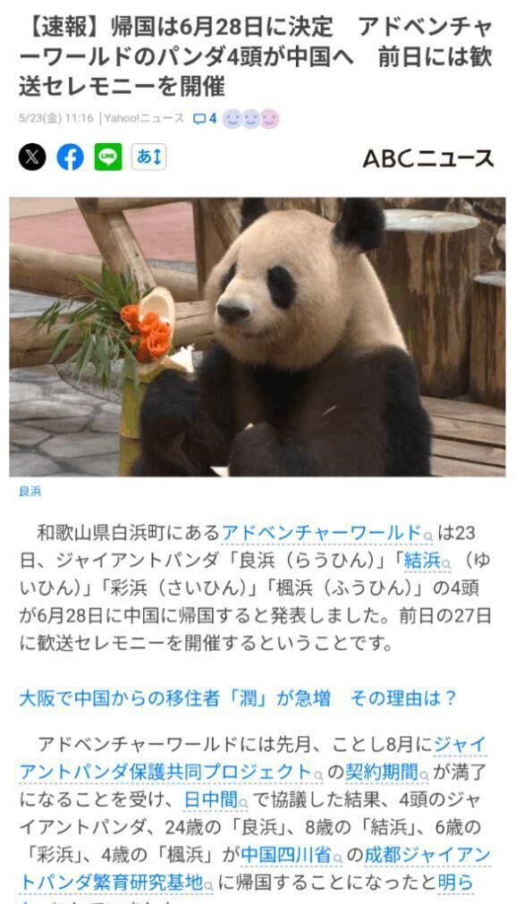 パンダが…&#128557;