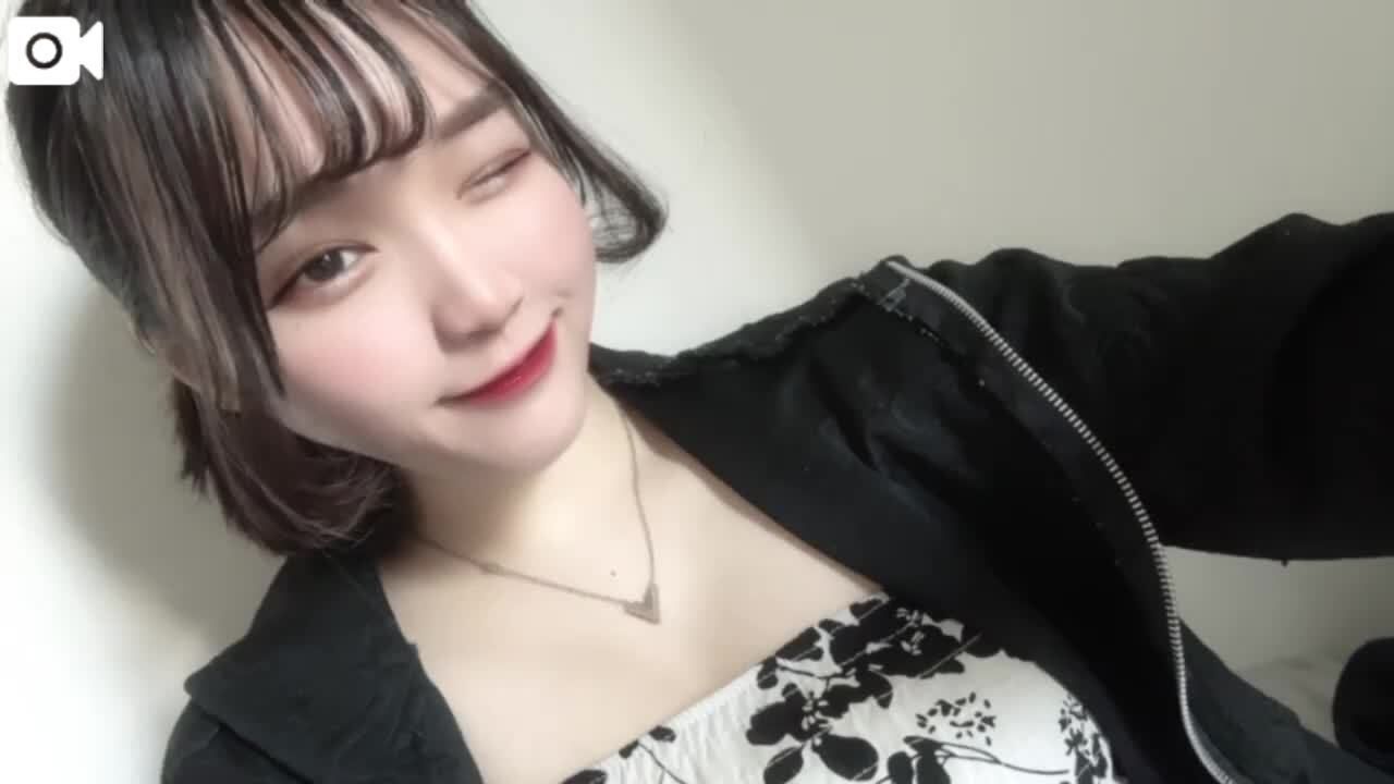 ゴメンナサイ
