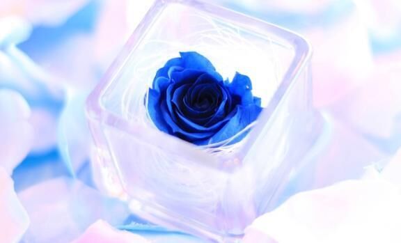 花花　Ｉ様&#128147;