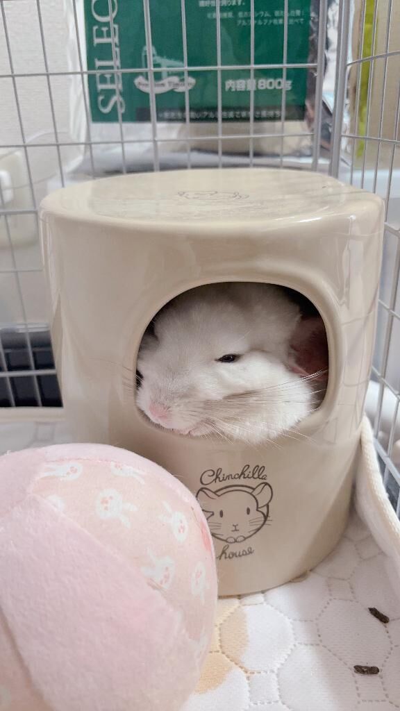 長らくおやすみ頂きました…