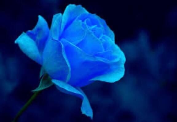 花花　Ｔ様&#128147;