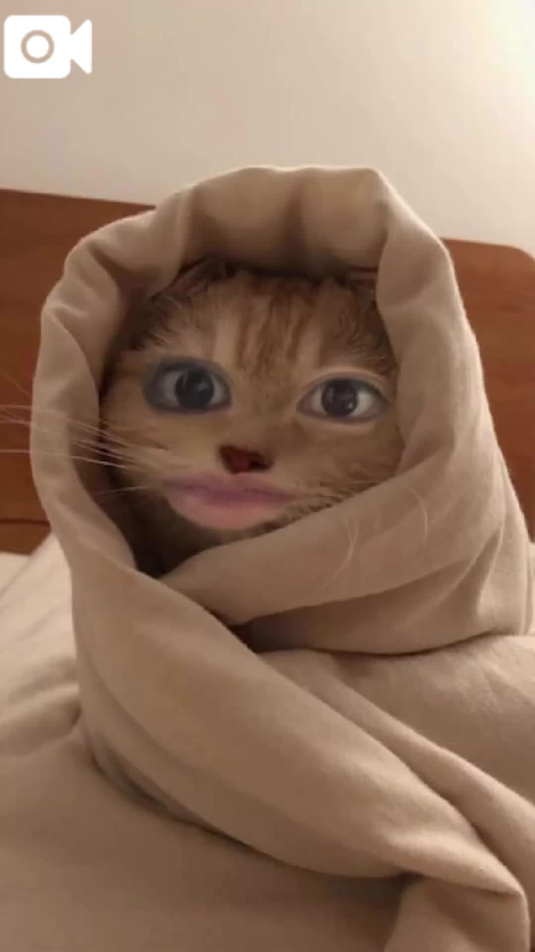 いい感じっ