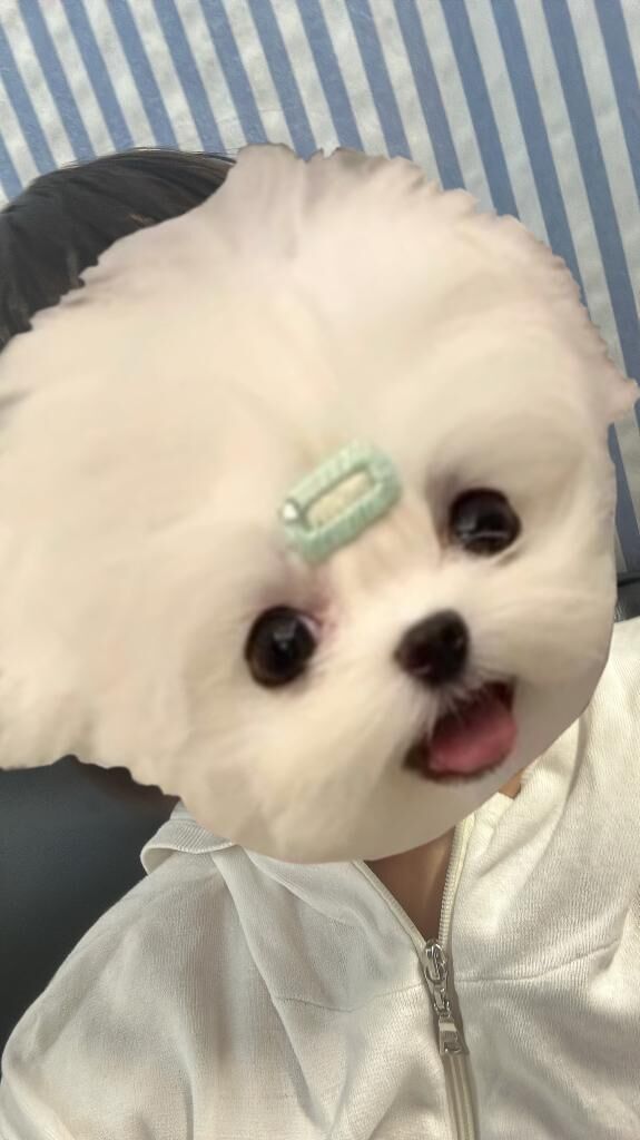 華金だー！