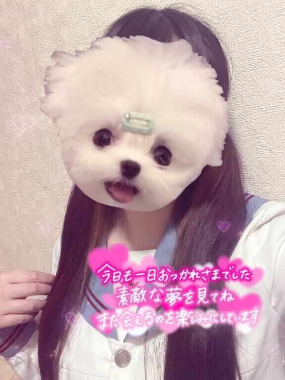 (*´˘`*)Thanks❣❣