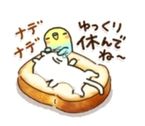 おやすみなさい♡♡♡