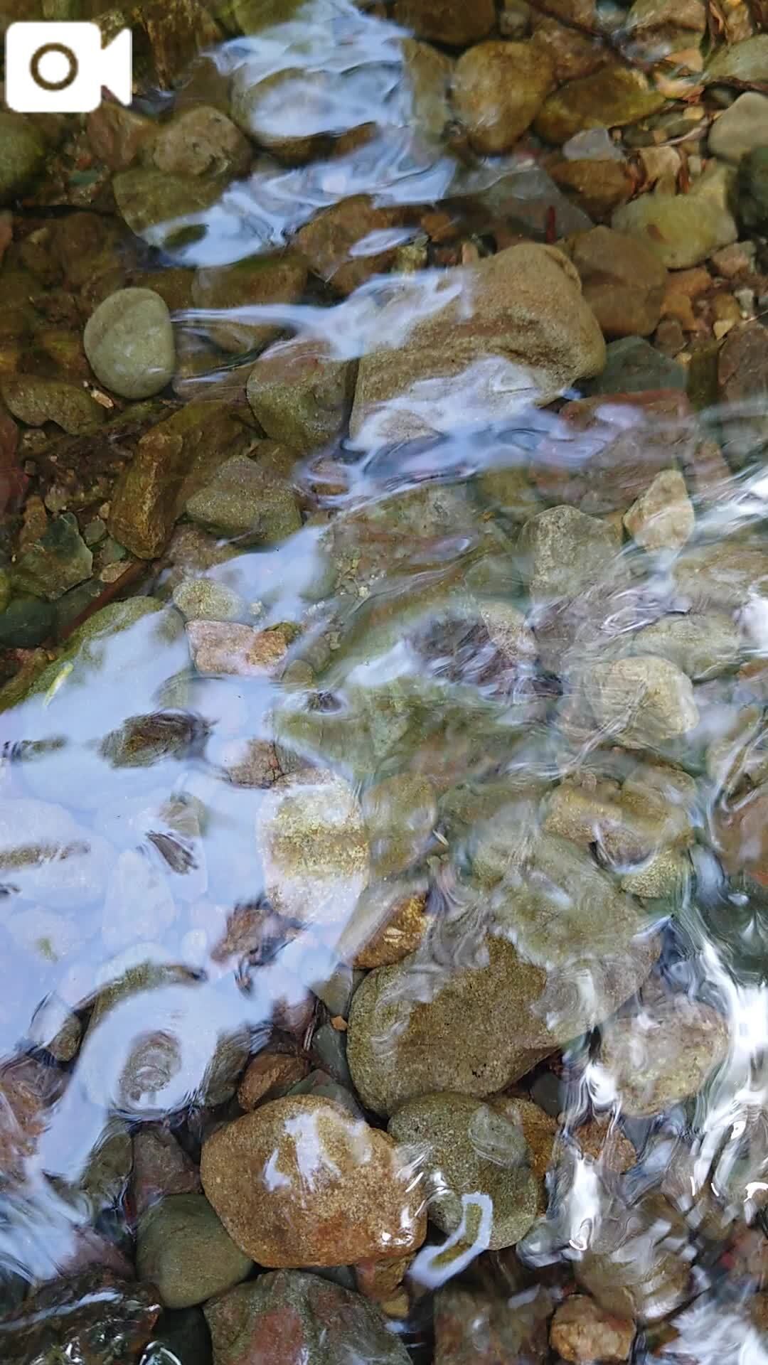 ことりん日記
