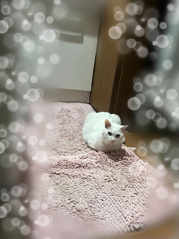 おはようございます✨️出勤♡