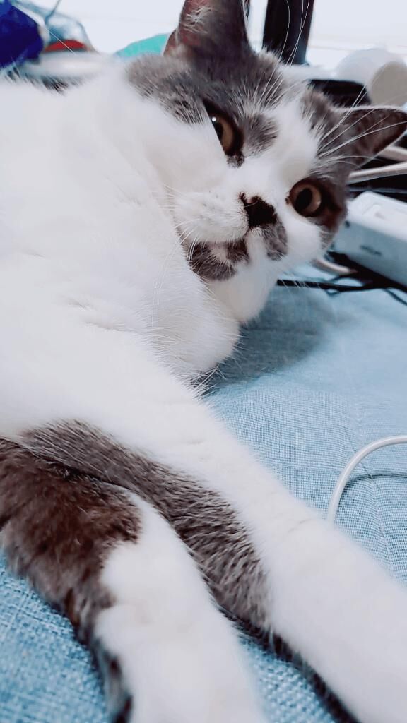 おはようございます♡♡