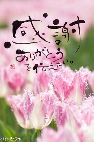 16時様へ