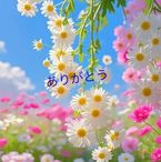 ありがとう