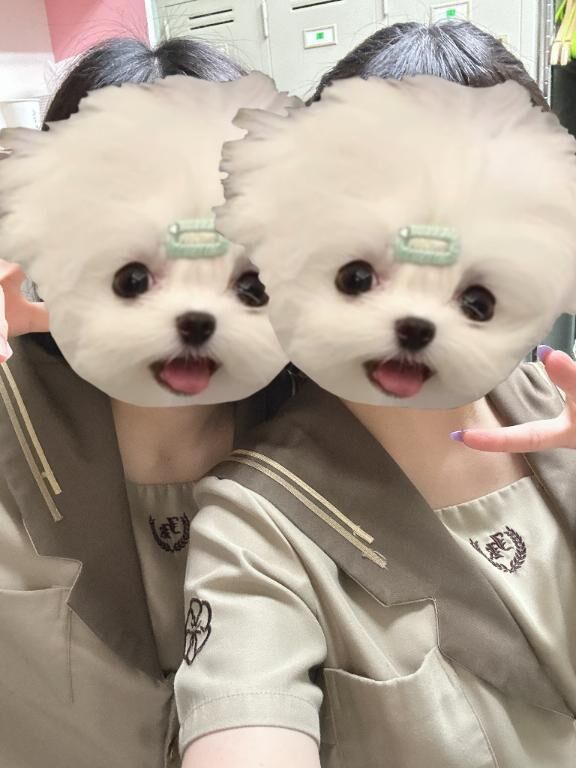 いつもありがとう&#10024;&#128150;